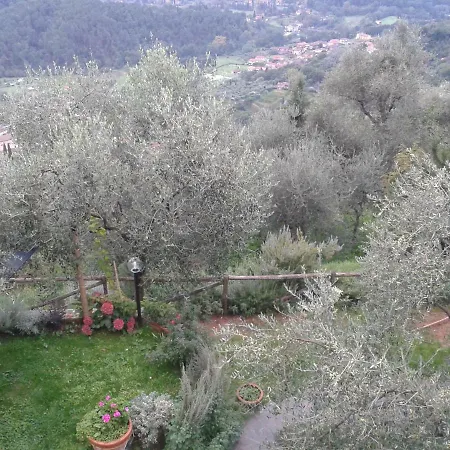 Col Di Lucchio